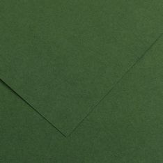 CANSON - 25 Feuilles Iris Vivaldi 50 x 65 cm - 120 g - Vert Sapin