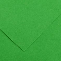 CANSON - 25 Feuilles Iris Vivaldi 50 x 65 cm - 240 g - Vert Franc