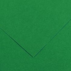 CANSON - 25 Feuilles Iris Vivaldi 50 x 65 cm - 240 g - Vert Mousse
