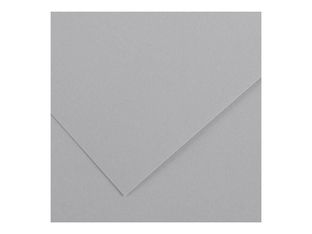Canson Iris Vivaldi - Papier - 500 x 650 mm - 25 feuilles - gris clair - 185 g/m²
