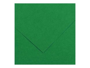 Canson Iris Vivaldi - Papier - 500 x 650 mm - 25 feuilles - vert mousse - 185 g/m²