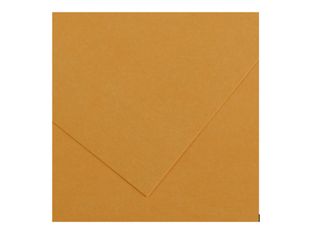 CANSON Iris Vivaldi - Feuilles - 500 x 650 mm - 25 feuilles - cuir - 240 g/m² - papier