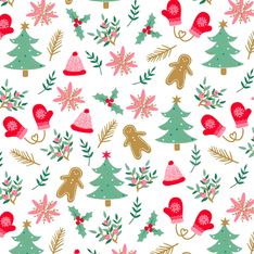 Viquel - 1 Rouleau de papier cadeau - 70 cm x 2 m - Lapland