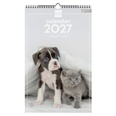 Finocam Calendario Imágenes De Pared Espiral Para Escribir 2027 – 250 x 400 mm