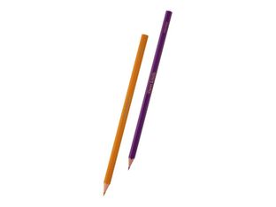 Paper Mate Reynolds GLOB'COLOR - Crayons de couleur