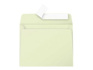 Pollen - 20 Enveloppes - 90 x 140 mm - 120 g/m² - vert bourgeon