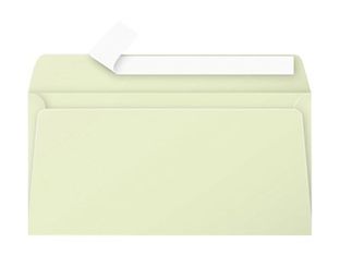 Pollen - 20 Enveloppes - 110 x 220 mm - 120 g/m² - vert bourgeon