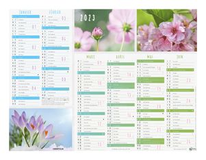 Oberthur Fleurs - Calendrier 6 mois par face - 40,5 x 52 cm