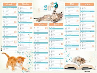 Oberthur Chatons - Calendrier 6 mois par face - 33,5 x 43 cm