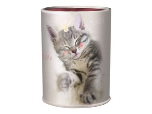 Oberthur Chatons - Pot à crayons