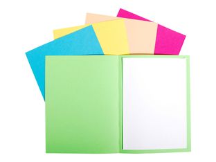 Exacompta Forever Foldyne - 100 Chemises - 170 gr - couleurs assorties