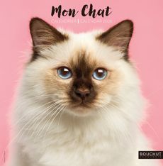 Calendrier illustré BOUCHUT 30 x 30 cm MON CHAT Pefc 70 %
