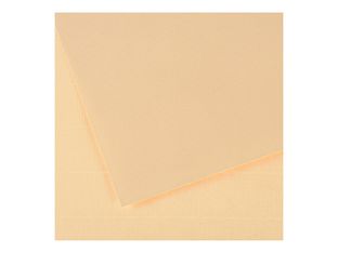 CANSON Ingres Vidalon 48 - papier à dessin