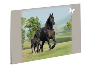 Oberthur Cheval - Sous-main double