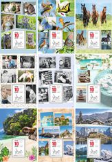 Oberthur - Plaque Illustrée + bloc éphéméride humoristique - 18 x 26 cm - disponible dans différents modèles