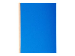 Exacompta Forever - 10 Chemises à soufflet - 320 gr - couleurs assorties