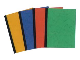 ELVE - Piqûre comptable - 5 colonnes par page - 31 x 21 cm - 100 pages