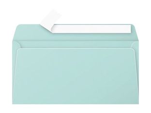 Pollen - 20 Enveloppes - 110 x 220 mm - 120 g/m² - vert jade