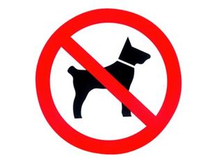 Pickup - Pictogramme rond - Pas de chiens - 300 mm