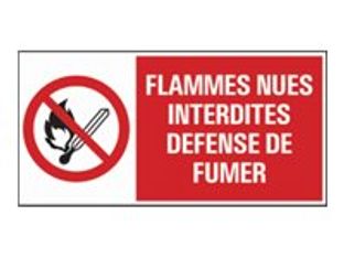 Pickup - Panneau de signalisation - 300 x 150 mm - Flammes interdites