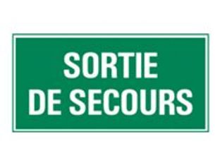 Pickup - Panneau de signalisation - 300 x 150 mm - Sortie de secours