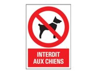 Pickup - Panneau Interdit aux chiens - 230 x 330 mm