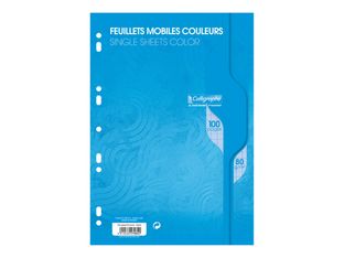 Calligraphe - feuilles simples A4 - 100 pages - grands carreaux (Seyes) - perforées - bleu