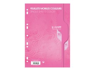 Calligraphe - feuilles simples A4 - 100 pages - grands carreaux (Seyes) - perforées - rose