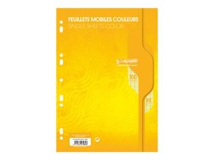 Calligraphe - feuilles simples A4 - 100 pages - grands carreaux (Seyes) - perforées - jaune