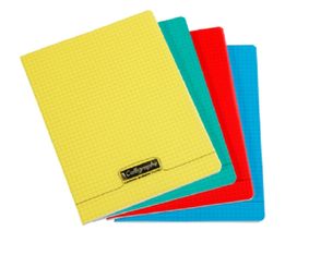 Calligraphe 8000 - Cahier polypro 24 x 32 cm - 96 pages - petits carreaux (5x5 mm) - disponible dans différentes couleurs