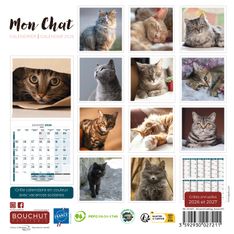 Calendrier illustré BOUCHUT 15 x 15 cm MON CHAT Pefc 70 %