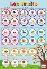 Poster pédagogique Fruits - 52 x 76 cm - Bouchut