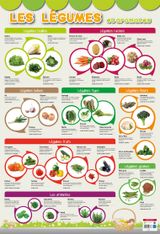 Poster pédagogique Légumes - 52 x 76 cm - Bouchut