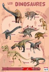 Poster pédagogique Dinosaures - 52 x 76 cm - Bouchut