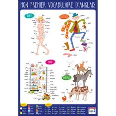 Bouchut - Poster pédagogique effaçable - 52 x 76 cm - Anglais