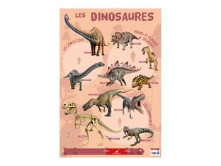 Bouchut - Poster Les Dinosaures - 52 x 76 cm