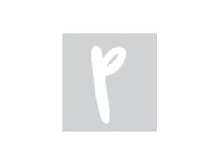 Pickup Déco Zoé - Étiquette autocollante 110 mm - Lettre P - blanc