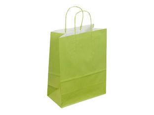 50 Sacs cadeau kraft - poignées torsadées - 18 cm x 8 cm x 22 cm - vert