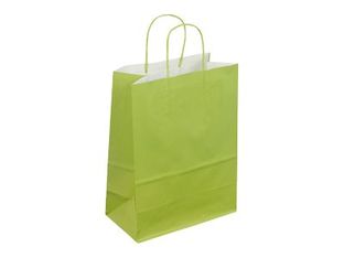 50 Sacs cadeau kraft - poignées torsadées - 22 cm x 12 cm x 31 cm - vert