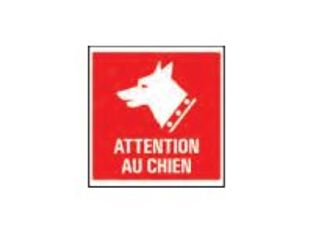 Pickup - Pictogramme - Attention au chien - 150 x 150 mm