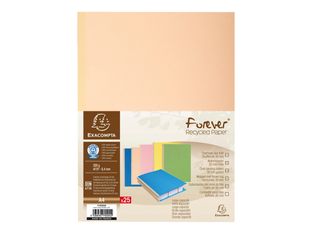 Exacompta Forever - 25 Chemises à soufflet - 320 gr - couleurs assorties