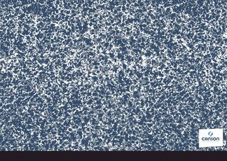 Canson - Carton à dessin - 32 x 45 cm - disponible dans différentes couleurs