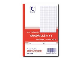 ELVE - 10 Manifolds quadrillés 5x5 - 50 dupli - 21 x 14 cm