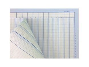 ELVE - Piqûre tête paresseuse - 30 colonnes sur 2 pages - 25 x 32 cm - 80 pages