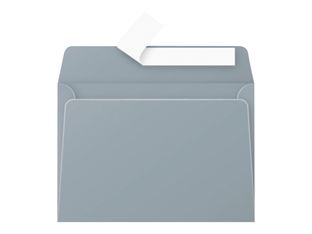 Pollen - 20 Enveloppes - 114 x 162 mm - 120 g/m² - argent