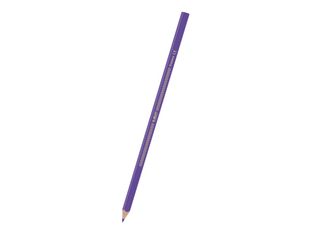 BIC Color UP! - 12 Crayons de couleur
