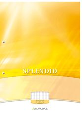 Splendid - Bloc de cours A4 - quadrillé 4x8 mm + marge - 200 pages - perforation 2 trous - 70g