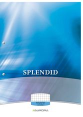 Splendid - Bloc de cours A4 - quadrillé 5x5 mm + marge - 200 pages - perforation 2 trous - 70g