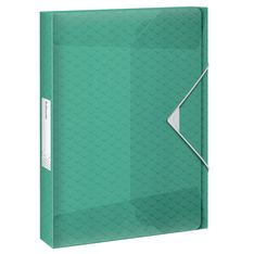 Esselte Colour'Breeze - Boîte de classement - Dos 25 mm - pour 120 feuilles - vert
