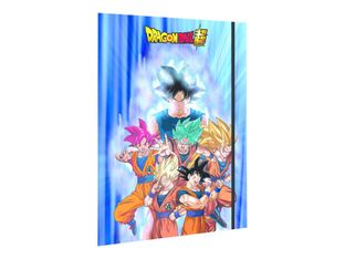 Clairefontaine Dragon Ball - Chemise à rabats - A4+